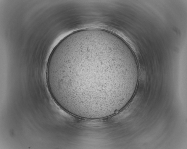 X0000112781486200909031620