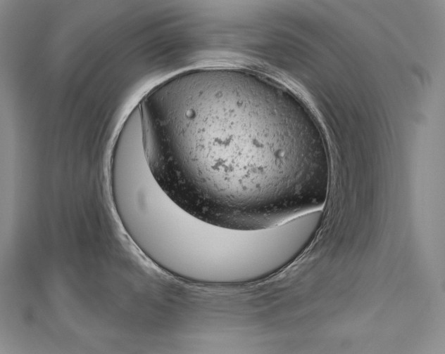 X0000112781488200909031620