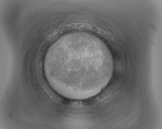 X0000112781489200909031619