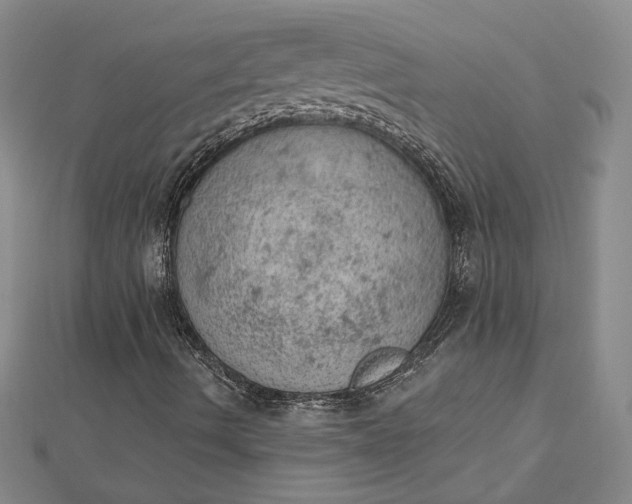 X0000112781490200909031619