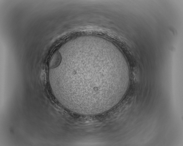 X0000112781493200909031619