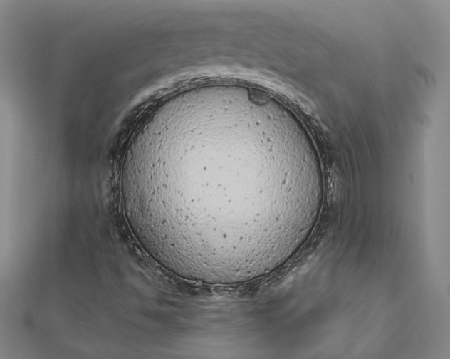 X0000112781494200909031619