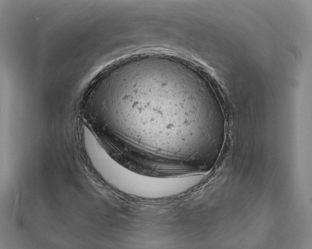 X0000112781496200909031619