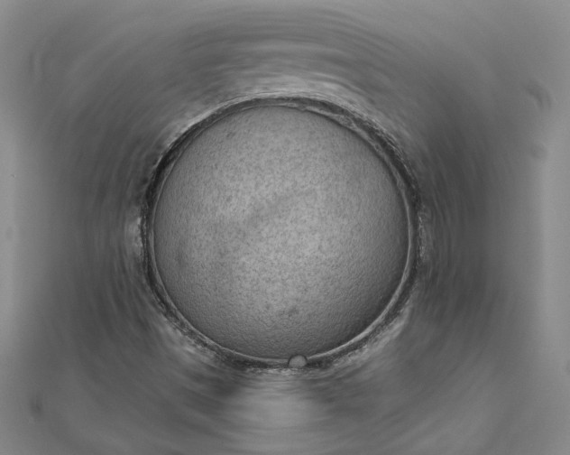 X0000112781497200909031619