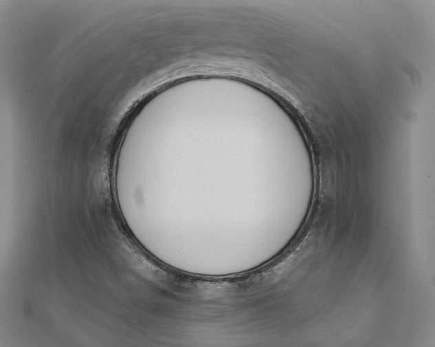 X0000112781498200909031619