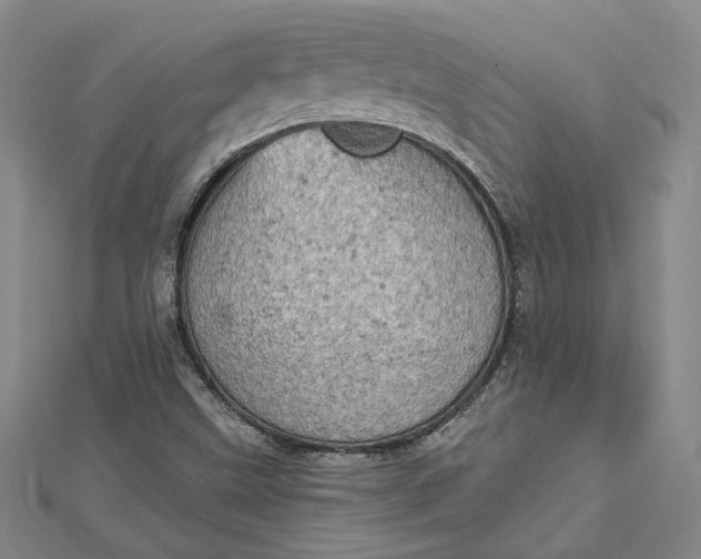 X0000112781499200909031619