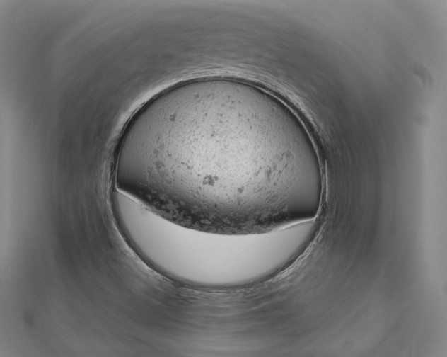 X0000112781500200909031619