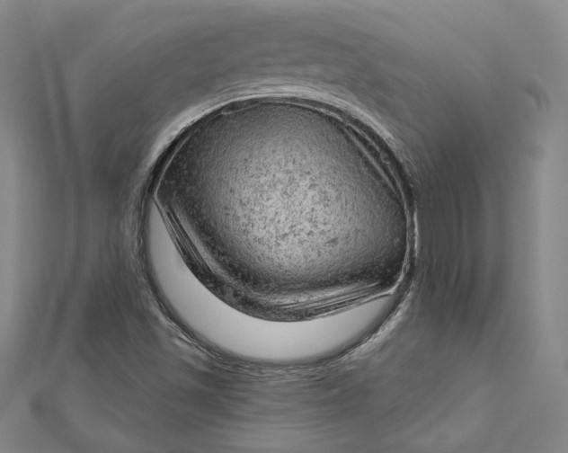 X0000112781501200909031619