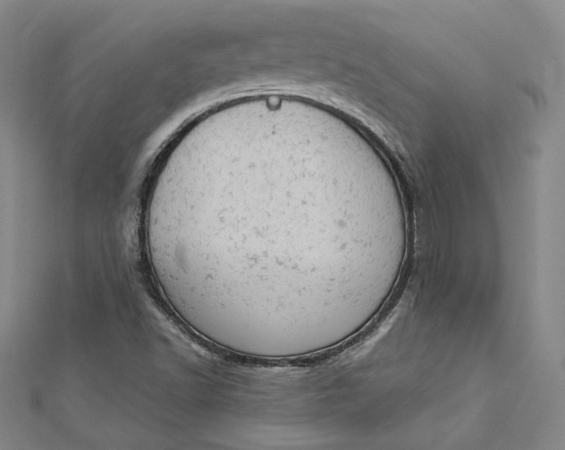 X0000112781502200909031619