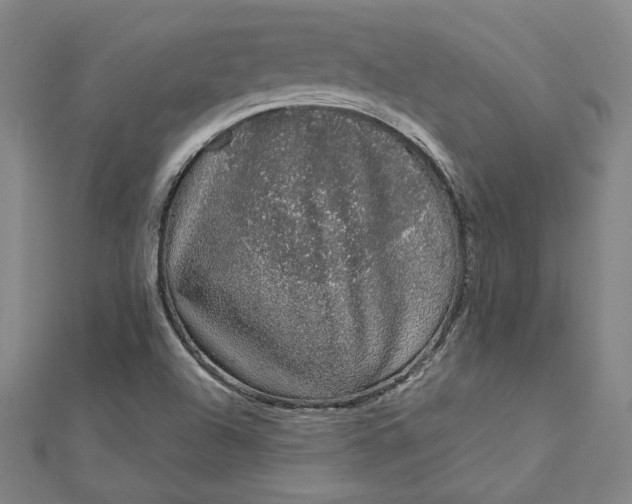 X0000112781504200909031619