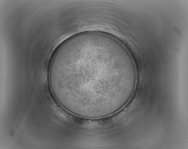 X0000112781505200909031619