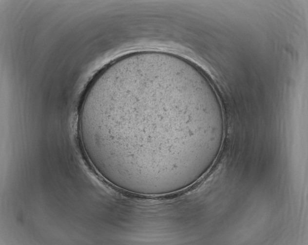 X0000112781507200909031619