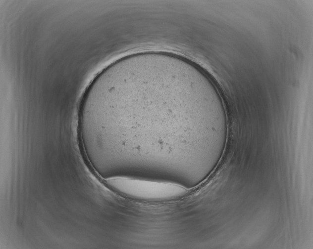 X0000112781508200909031619