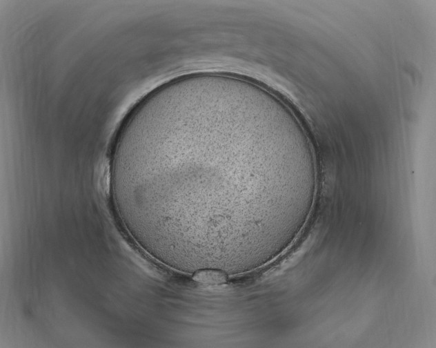 X0000112781509200909031619