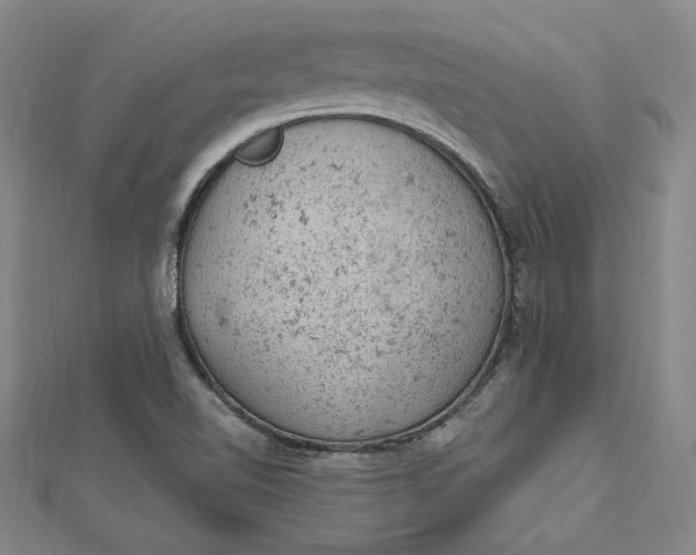 X0000112781510200909031619