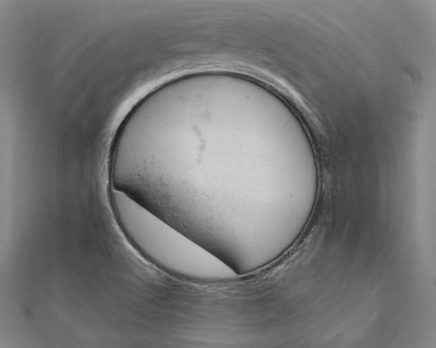 X0000112781512200909031619