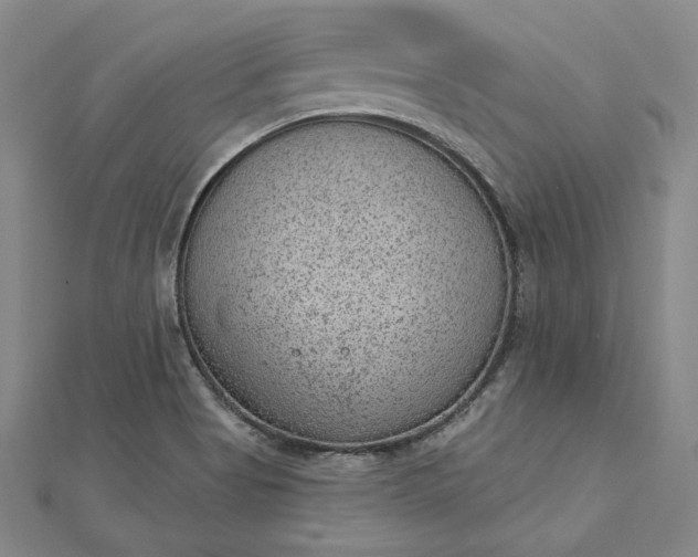 X0000112781513200909031619