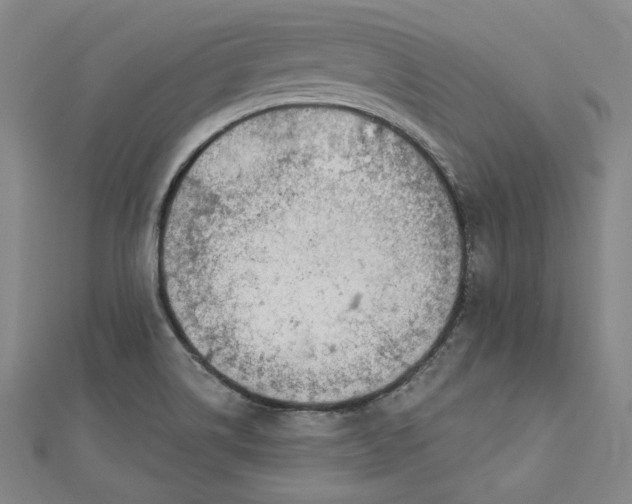 X0000112781514200909031620