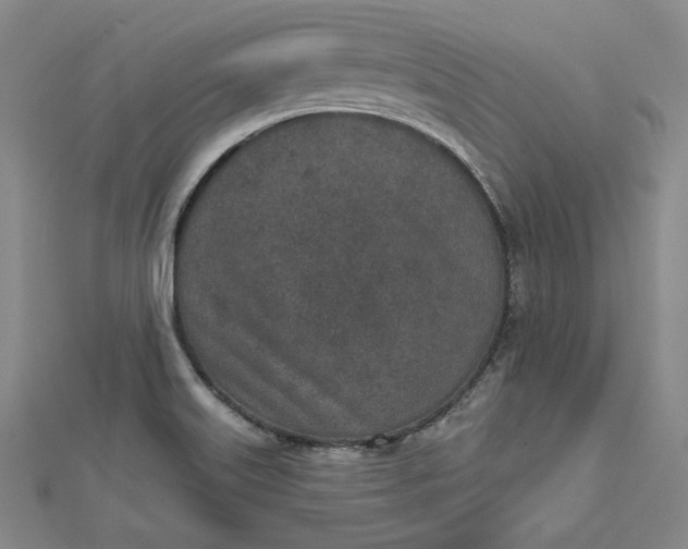 X0000112781515200909031620