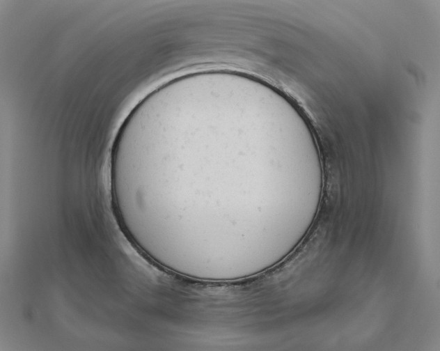 X0000112781516200909031620