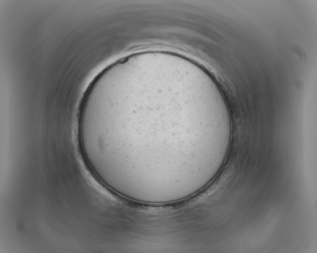 X0000112781518200909031620