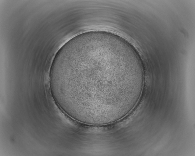 X0000112781521200909031620