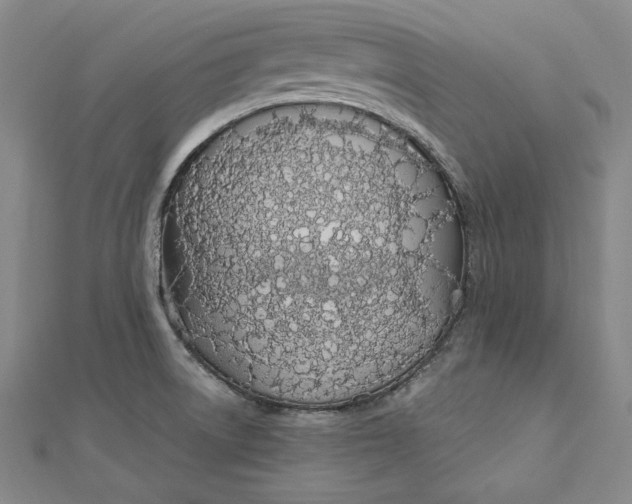 X0000112781522200909031620