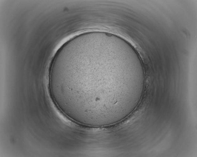 X0000112781523200909031620