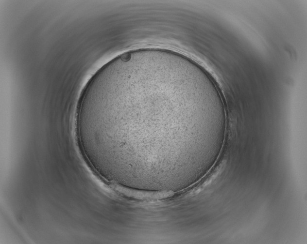 X0000112781525200909031620