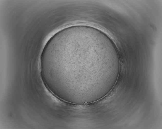 X0000112781527200909031620