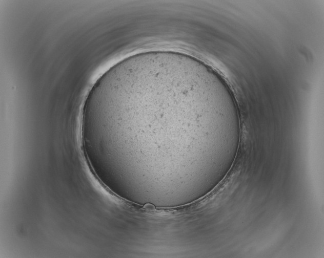 X0000112781528200909031620