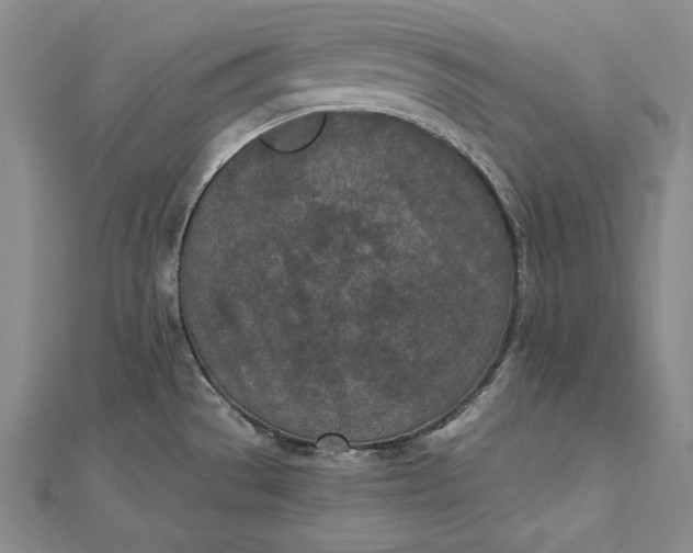 X0000112781529200909031620