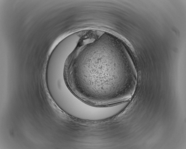 X0000112781530200909031620