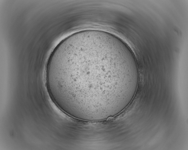 X0000112781531200909031620