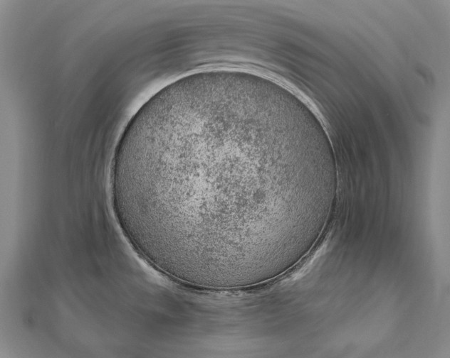 X0000112781533200909031620