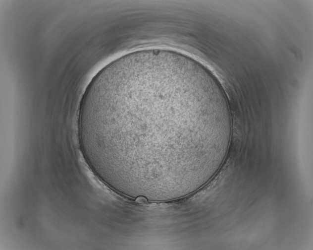 X0000112781534200909031620