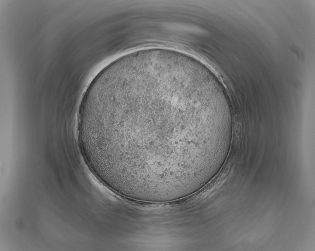 X0000112781535200909031620