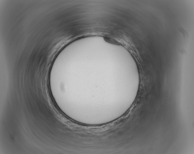 X0000112780001200909101622