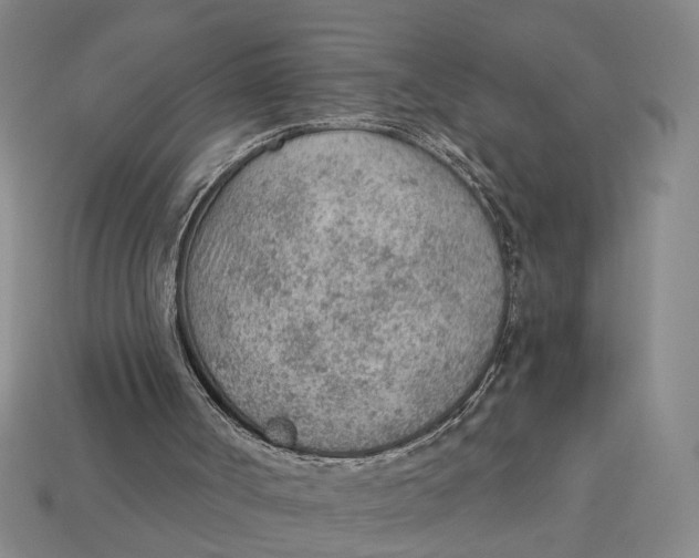 X0000112780002200909101622