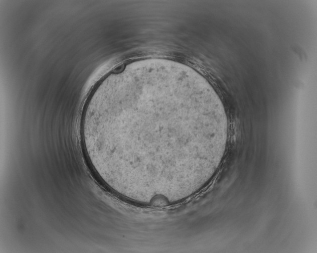 X0000112780004200909101622