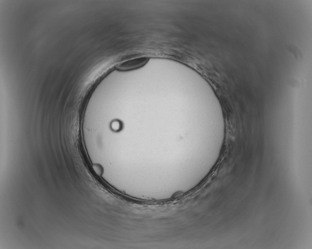 X0000112780005200909101622