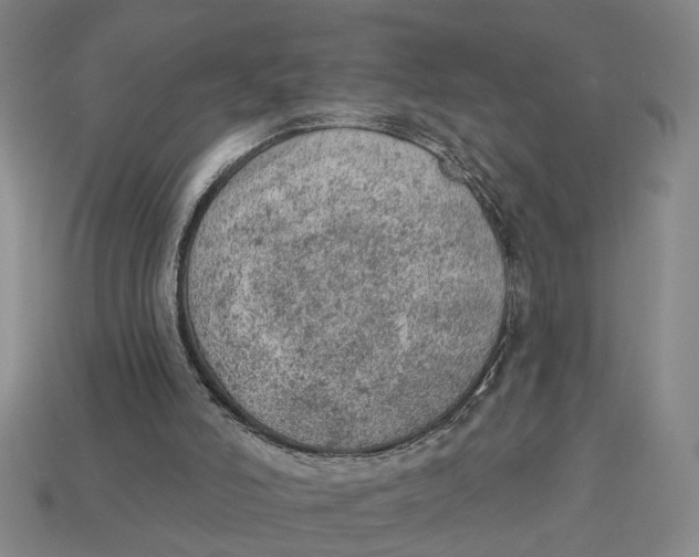 X0000112780006200909101622