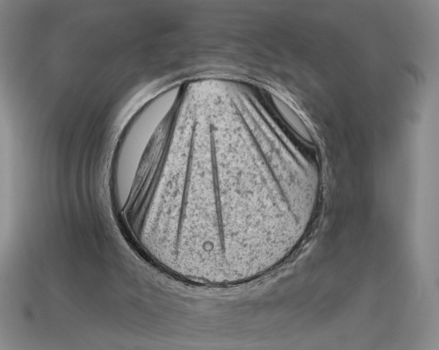 X0000112780007200909101622