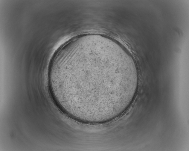 X0000112780008200909101622