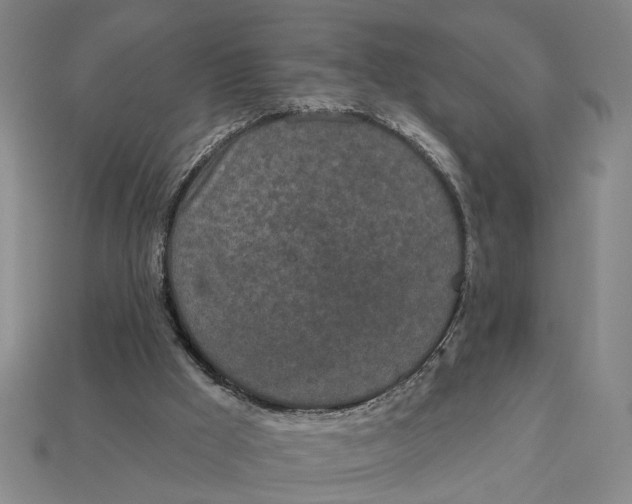 X0000112780009200909101622