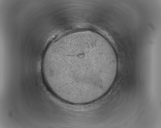 X0000112780010200909101622