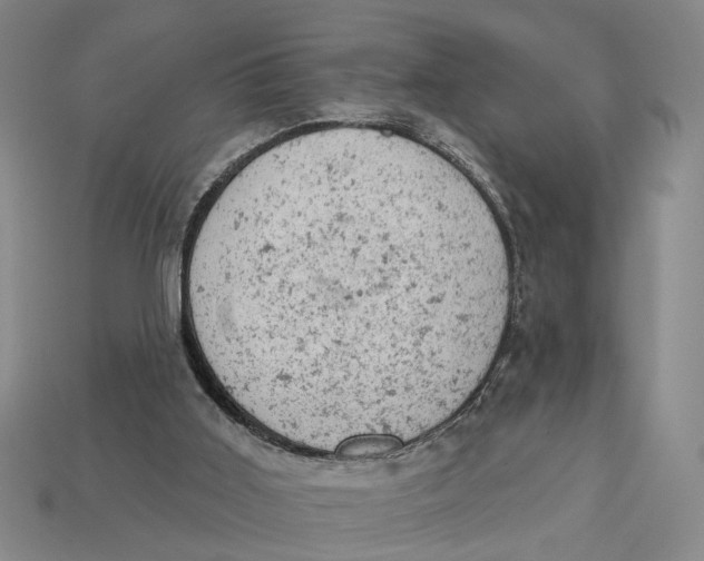 X0000112780011200909101622