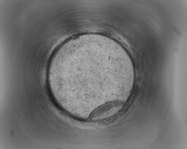 X0000112780012200909101622