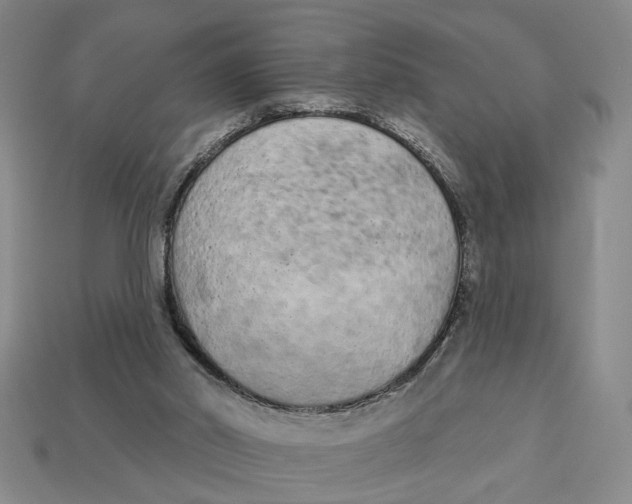 X0000112780014200909101622