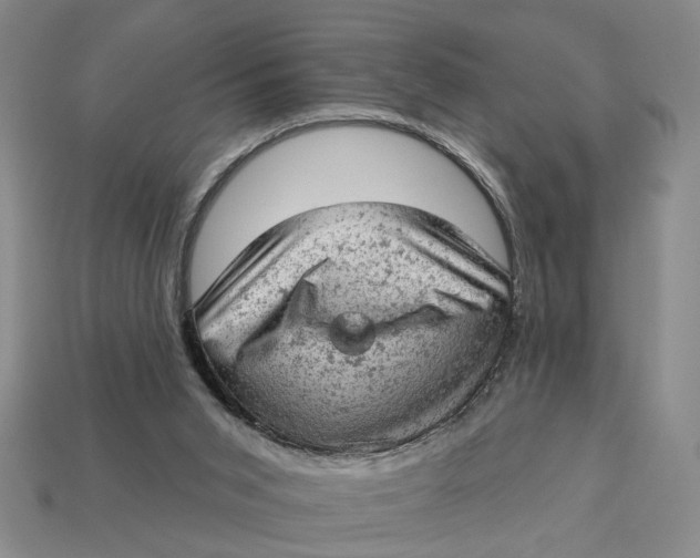 X0000112780015200909101621